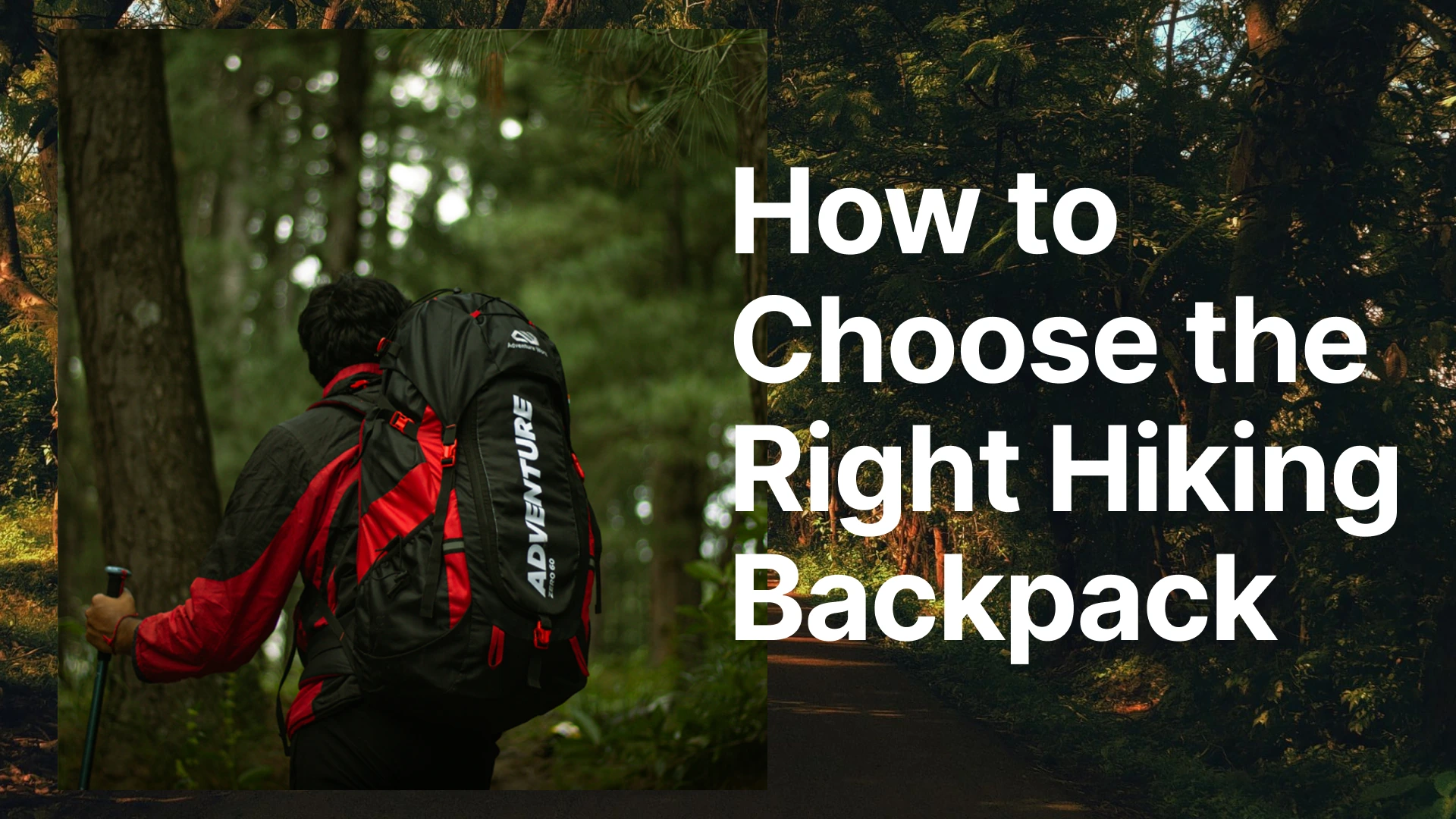 Hiker wearing a hiking backpack in a forest, banner for the Hiking Backpack Buying Guide